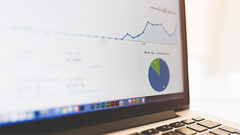 地域密着型SEO/MEO対策